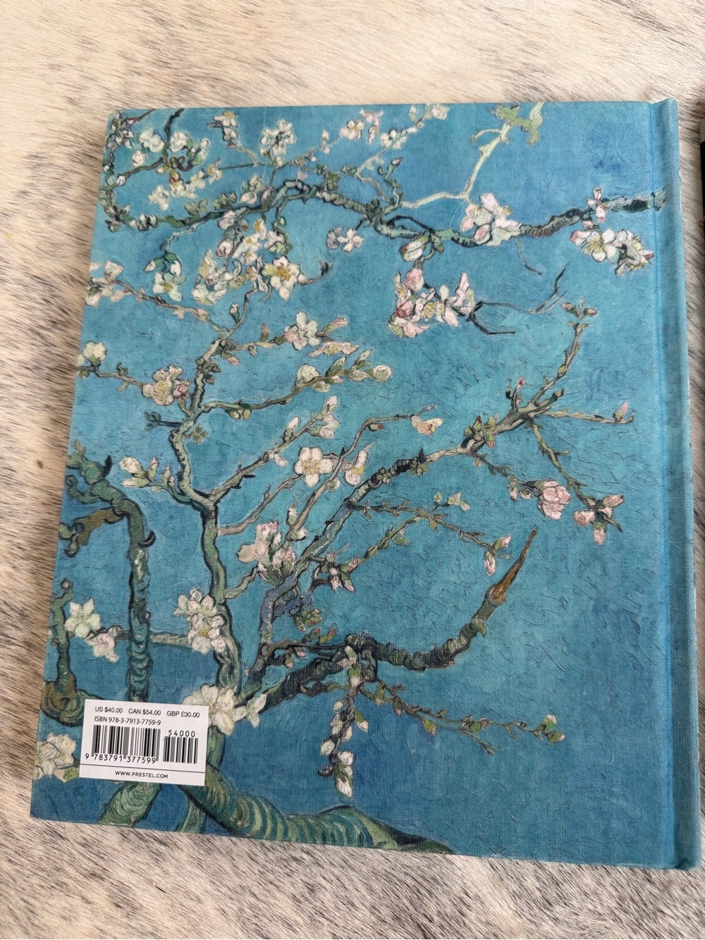 DIOR/Van Gogh Art Books - Picture 6 of 8